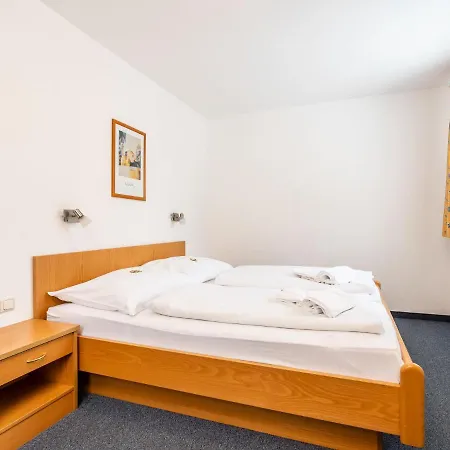Spacious In Saalbach-hinterglemm Near Ski Lift Viehhofen